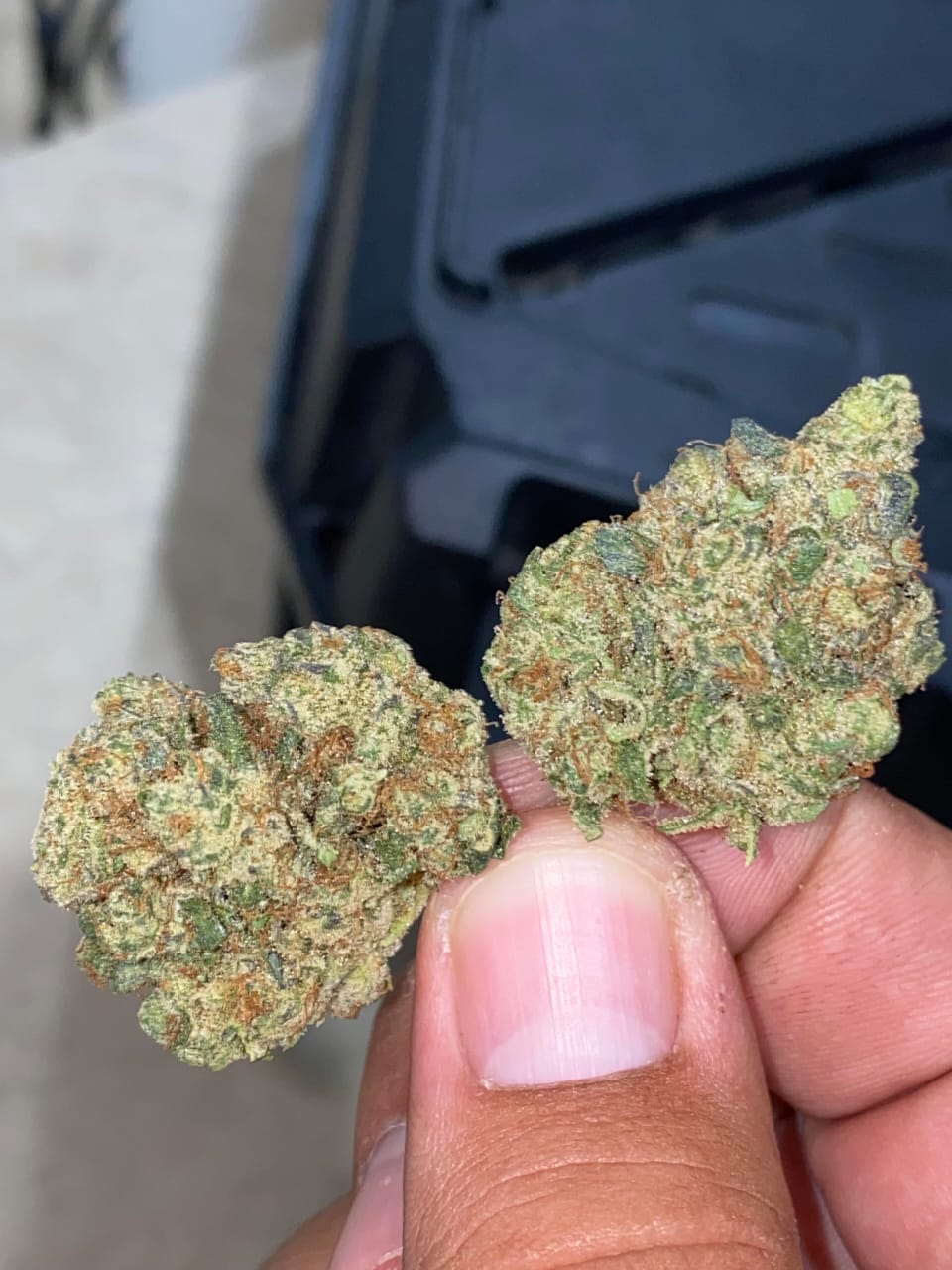 Galactic Candy Strain kaufen