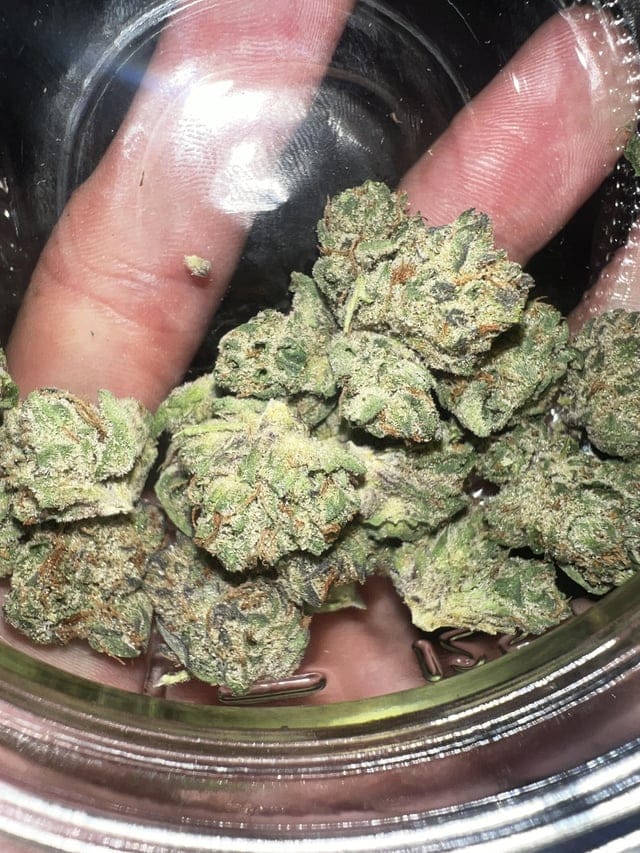 Buy Galactic Candy Strain – Bild 3