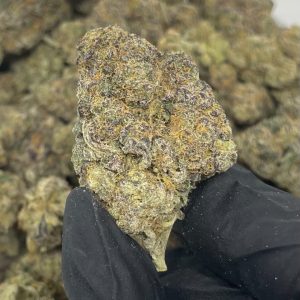 Grape Soda Strain kaufen Deutschland
