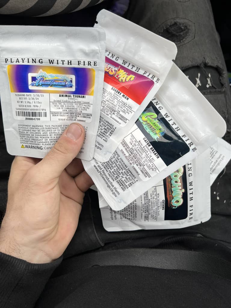 Buy JungleBoys 1/8 Bags UK