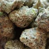 Buy Mac Doughnut Strain – Bild 3