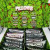 Kaufen Sie Pillows 1LB Cannabis Flower Deutschland – Bild 2