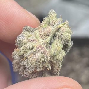 ShortCakez Runtz kaufen Deutschland