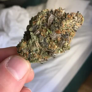 Pink Starburst Cannabis